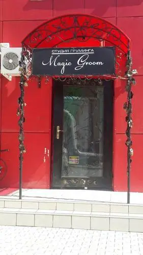 Magic Groom