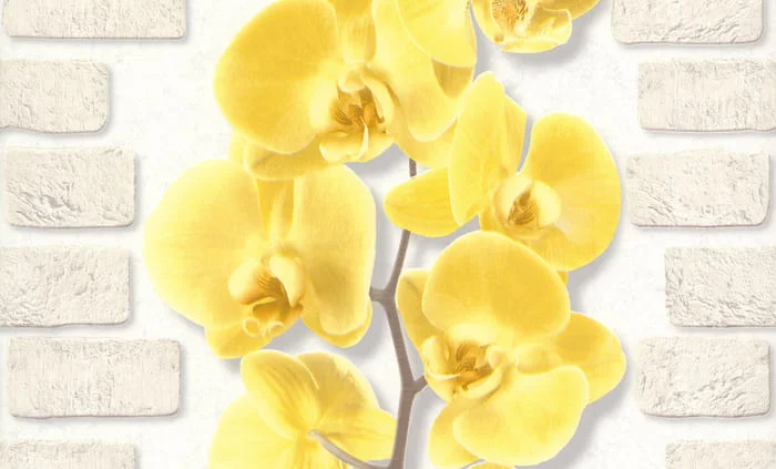 Обои Аспект Орхидея 10107-23 0,53х10,05 м бежевый, виниловые на бумажной основе