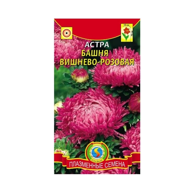 astra_bashnya_vishnevo_rozovaya_