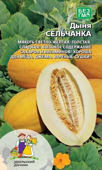 Фото для Дыня Сельчанка, 10 шт, Уральский Дачник