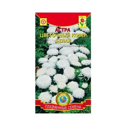 Фото для Астра Цветочный ковер белая, Плазменные семена