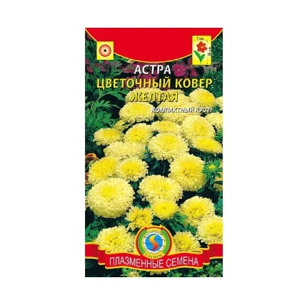 Фото для Астра Цветочный ковер желтая