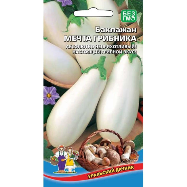 baklazhan_mechta_gribnika_20_sht