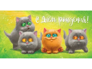 yjwgy8wq6btgwmah035fhkj59pm1f1bp