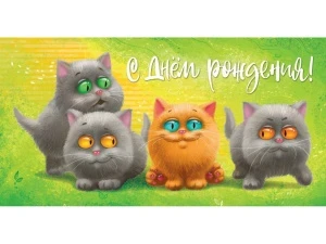 yjwgy8wq6btgwmah035fhkj59pm1f1bp