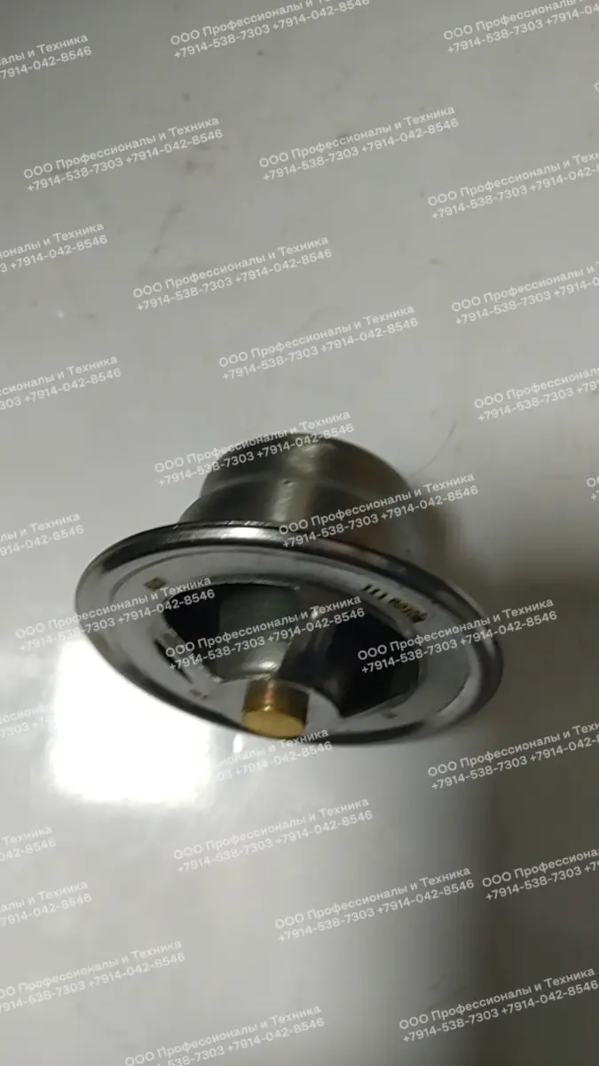 термостат для погрузчика (SHANGCHAI): C22AL-1118010+A