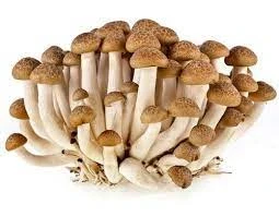 Фото для Грибы Опята 150гр 