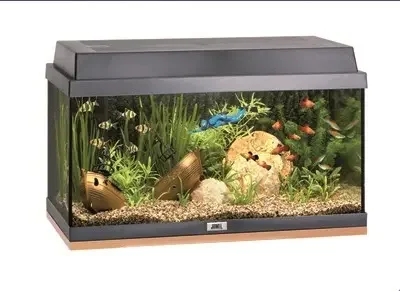 juwel rekord аквариум Благовещенск