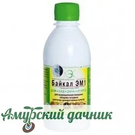 1v8bqw7afh5i60alyr1vfnjmuiknr3jh