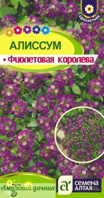 Фото для ЦВЦ Алиссум морск. Фиолетовая Королева 0,05гр." СА"/10