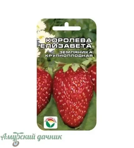 Фото для ЦВП Земл-клуб. Королева Елизавета 10с. "СС"/10