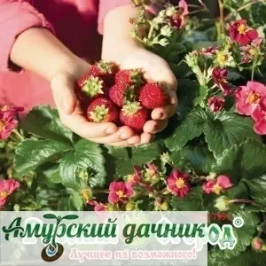 kxf0grkkmp344kpwt05g4bslc4kq7l65