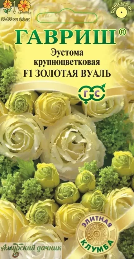 Фото для ЦВЦ Эустома Золотая Вуаль, F1 4с."Г"/10