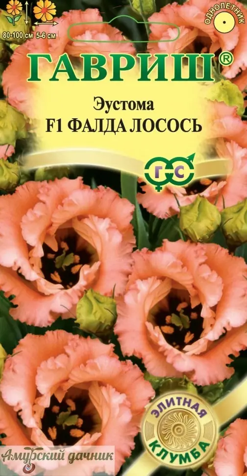 g9xuqup06eruzjl975y9ijv4j17bafw7