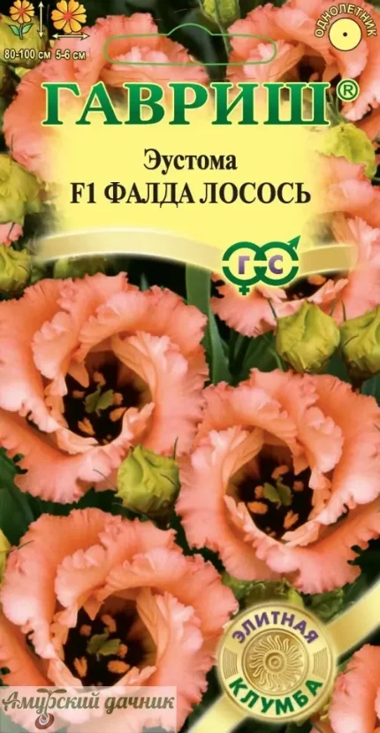 g9xuqup06eruzjl975y9ijv4j17bafw7