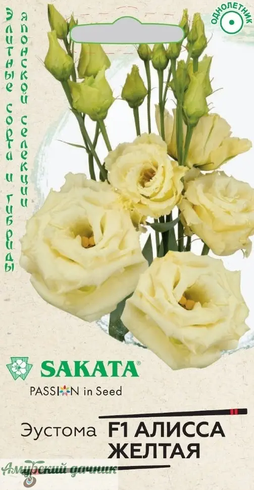 49b1lcc7pbp61e5svred6rv064sodty5