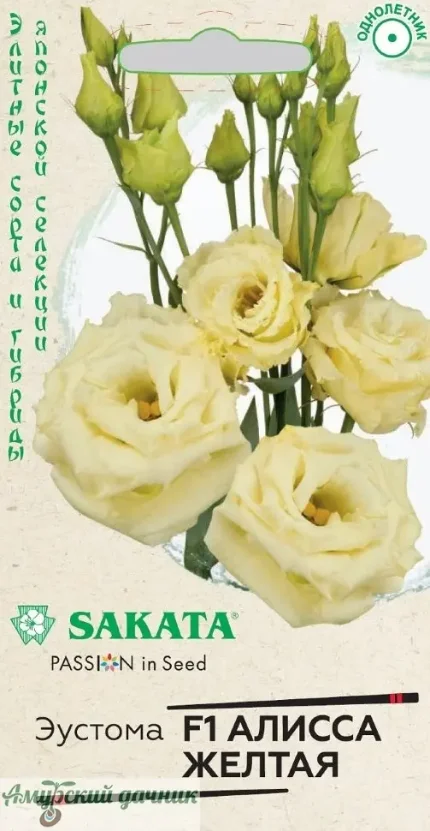 49b1lcc7pbp61e5svred6rv064sodty5