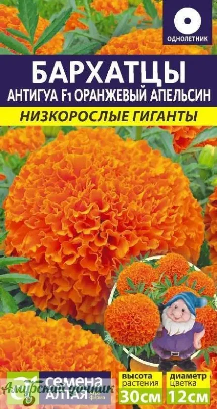 dkclriq4yb9eme1c0xux7q4h0qh0w2jz