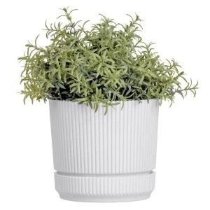 ryjwqstiz2jrxij5xw1zsz45s2puircg