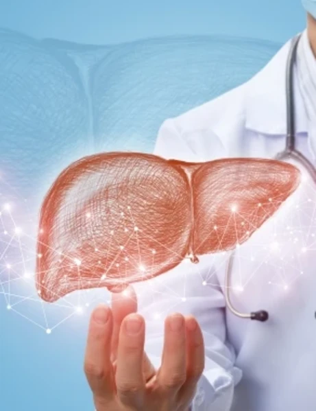 Эластография печени (методом сдвиговой волны)