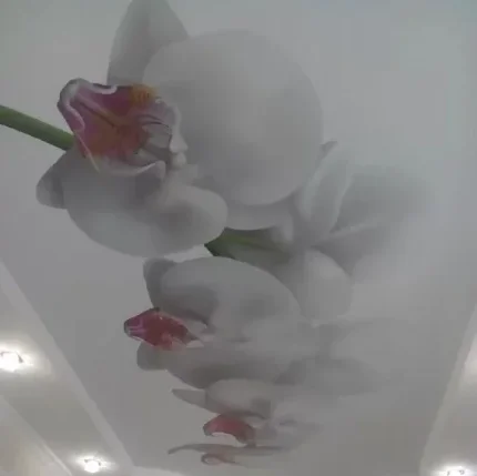 Натяжной потолок с фотопечатью "Орхидея"