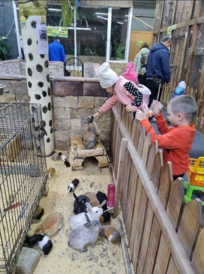 Зоопарк (билет для детей)