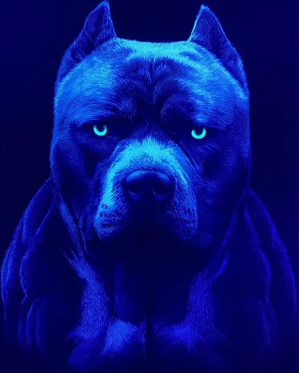 7mwf34itsz0dfn4ci7zousgvs4sl36cs