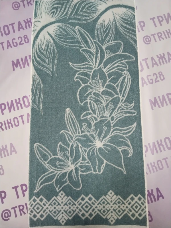 u4l55635ez6bm0z28o4wcs13m298ims3