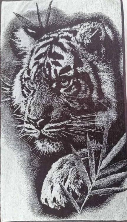 2om00weexq8ysc35n73q8ek911ciidso