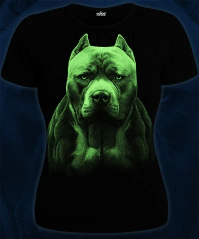 obtgr1iv5gzor6igwb8hndgya7icjwpw