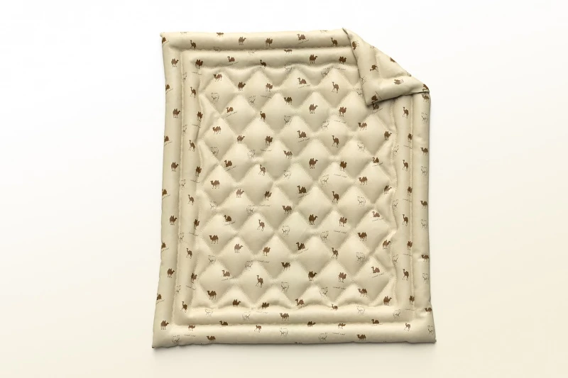 zw09z3p9xvyru0wabwa9g7cp5j9gb904