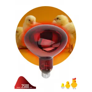 Лампа инфакрасная зеркальная Эра Фито 230-150 R127 E27 (красная лампа) *
