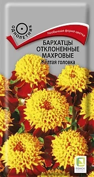 Фото для Бархатцы отклоненные махровые (Тагетес отклонённый) Жёлтая головка ( ЦВ) ("1) 0,4гр