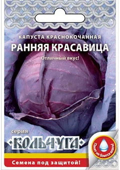 2e65c605db3d11ed8293d85ed377b6fa_34d08c97bceb11ef8288d85ed377b6fa