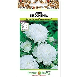Фото для Цветы Астра Белоснежка (0,3г)