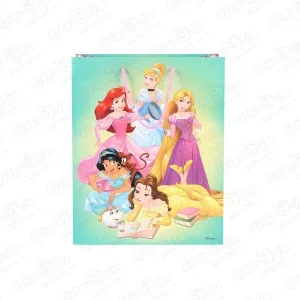 Фото для Пакет подарочный Принцессы Disney 26х32,4см