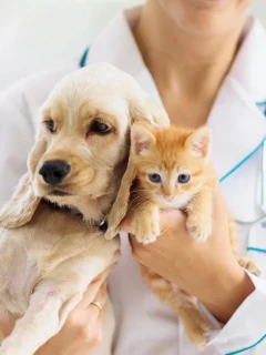 783cde92e686425faf3f523c01308c72