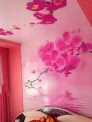 Монтаж натяжных стен с фотопечатью "Orchid"